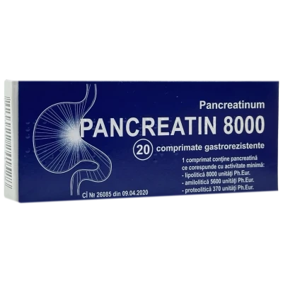 Pancreatin 8000 comp. gastrorez. N10x2 Pancreatin 8000 comp. gastrorez. N10x2